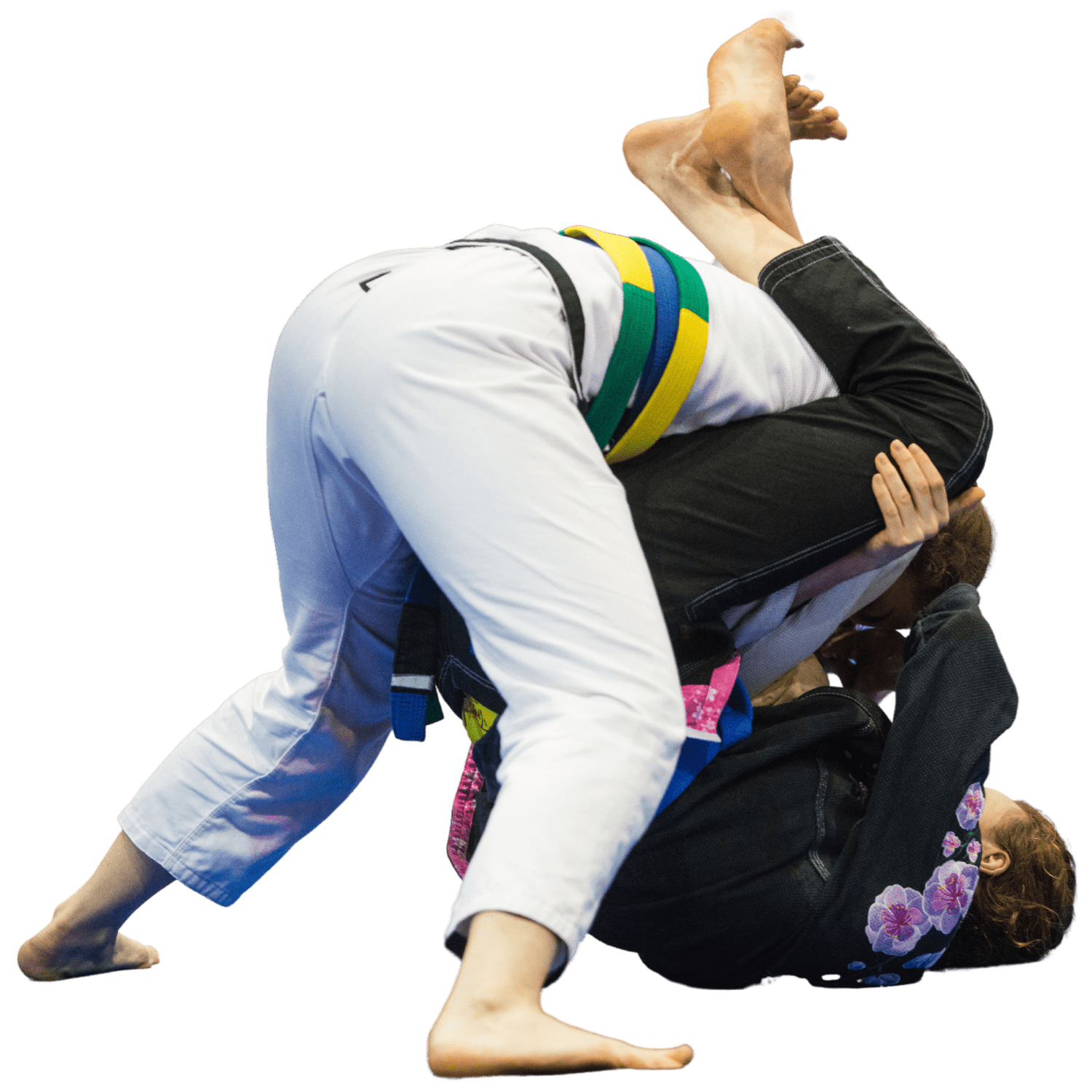 BJJ class at Hillandale Jiu-Jitsu